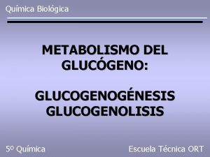 Qumica Biolgica METABOLISMO DEL GLUCGENO GLUCOGENOGNESIS GLUCOGENOLISIS 5