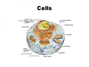 Cells What is a cell Smallest unit of