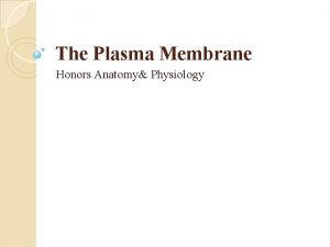 The Plasma Membrane Honors Anatomy Physiology Plasma Membrane