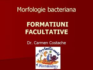 Morfologie bacteriana FORMATIUNI FACULTATIVE Dr Carmen Costache FORMATIUNI