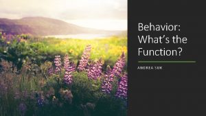 Behavior Whats the Function ANDREA SUK Introduction University