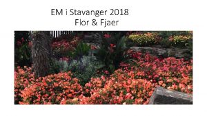 EM i Stavanger 2018 Flor Fjaer Att komma