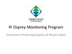 RI Osprey Monitoring Program Volunteers Protecting Osprey of