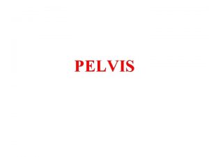 PELVIS PELVIS AND PERINEUM Pelvis Pelvic cavity and