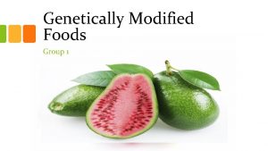 Genetically Modified Foods Group 1 Introduction Genetically modified