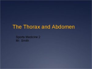 The Thorax and Abdomen Sports Medicine 2 Mr