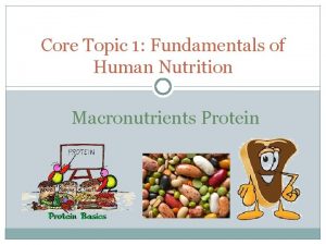 Core Topic 1 Fundamentals of Human Nutrition Macronutrients