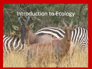 Introduction to Ecology Ecology Review All organisms need