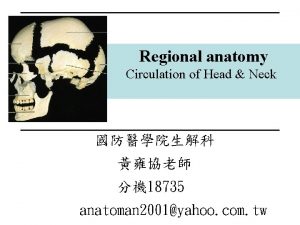 Regional anatomy Circulation of Head Neck 18735 anatoman