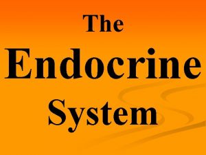 The Endocrine System Endocrine Functions Regulates Body Functions