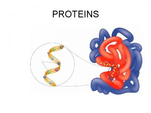 PROTEINS Amino acid monomers to proteins Amino acids