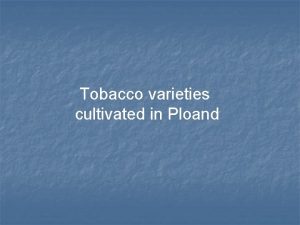 Tobacco varieties cultivated in Ploand Rejony uprawy tytoniu