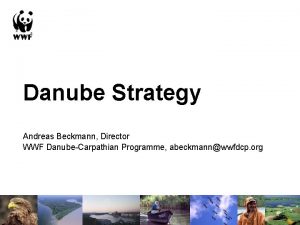 Danube Strategy Andreas Beckmann Director WWF DanubeCarpathian Programme