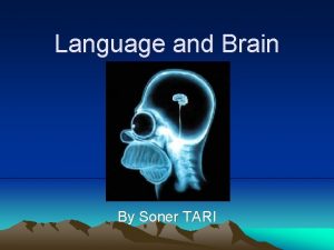 Language and Brain By Soner TARI Language Acquisition