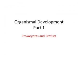 Organismal Development Part 1 Prokaryotes and Protists Asexual