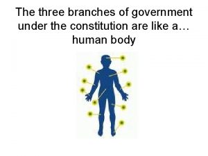 The three branches of government under the constitution