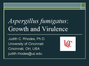 Aspergillus fumigatus Growth and Virulence Judith C Rhodes