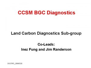 CCSM BGC Diagnostics Land Carbon Diagnostics Subgroup CoLeads