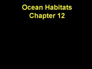 Ocean Habitats Chapter 12 Animals of the Benthos