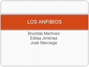 LOS ANFIBIOS Brunilda Martnez Edilsa Jimnez Jos Marciaga