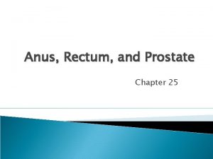 Anus Rectum and Prostate Chapter 25 Structure and