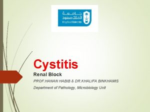 Cystitis Renal Block PROF HANAN HABIB DR KHALIFA