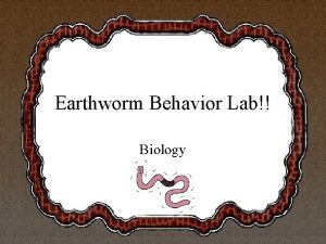 Earthworm Behavior Lab Biology Knowledge of Earthworms What