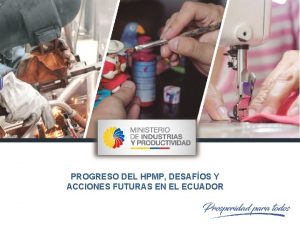PROGRESO DEL HPMP DESAFOS Y ACCIONES FUTURAS EN
