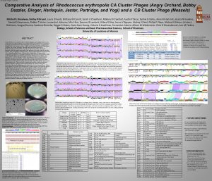 CA Cluster Phages Overview Comparative Analysis of Rhodococcus