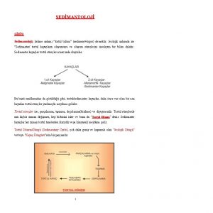 SEDMANTOLOJ GR Sedimantoloji kelime anlam tortul bilimi sedimentlogos