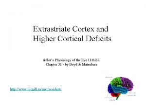 Extrastriate Cortex and Higher Cortical Deficits Adlers Physiology