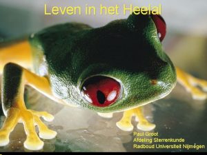 Leven in het Heelal Paul Groot Afdeling Sterrenkunde