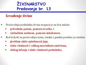 IVINARSTVO Predavanje br 13 Izvoenje ivine Proizvodnja podmlatka