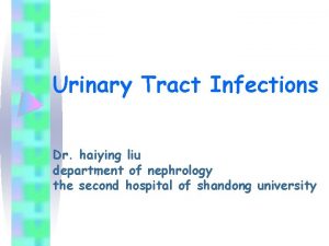 Urinary Tract Infections Dr haiying liu department of