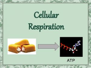 Cellular Respiration ATP Cellular respiration overview 3 50