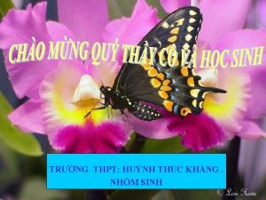 TRNG THPT HUNH THC KHNG NHM SINH B