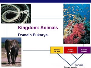 Kingdom Animals Domain Eukarya Domain Bacteria AP Biology