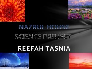 SCIENCE PROJECT REEFAH TASNIA DRUG ADDICTION IS HARMFUL