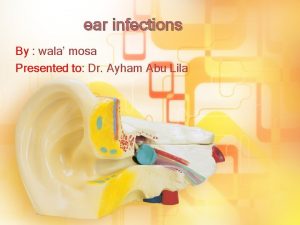 ear infections By wala mosa Presented to Dr