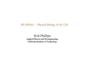 BEAPh 161 Physical Biology of the Cell Rob