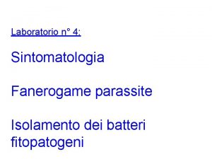 Laboratorio n 4 Sintomatologia Fanerogame parassite Isolamento dei