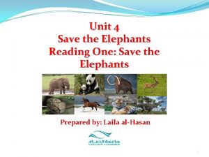 Unit 4 Save the Elephants Reading One Save
