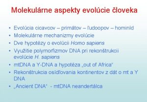 Molekulrne aspekty evolcie loveka Evolcia cicavcov primtov udoopov