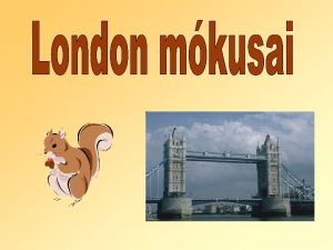 London parkjaiban rengeteg mkus kszl szabadon A lon