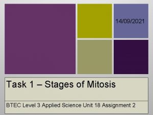 14092021 Task 1 Stages of Mitosis BTEC Level