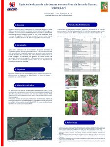 Espcies lenhosas de subbosque em uma rea da