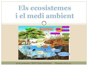 Els ecosistemes i el medi ambient 4 t