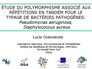 TUDE DU POLYMORPHISME ASSOCI AUX RPTITIONS EN TANDEM