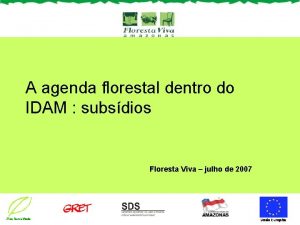 A agenda florestal dentro do IDAM subsdios Floresta