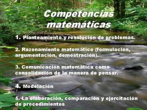 Competencias matemticas 1 Planteamiento y resolucin de problemas